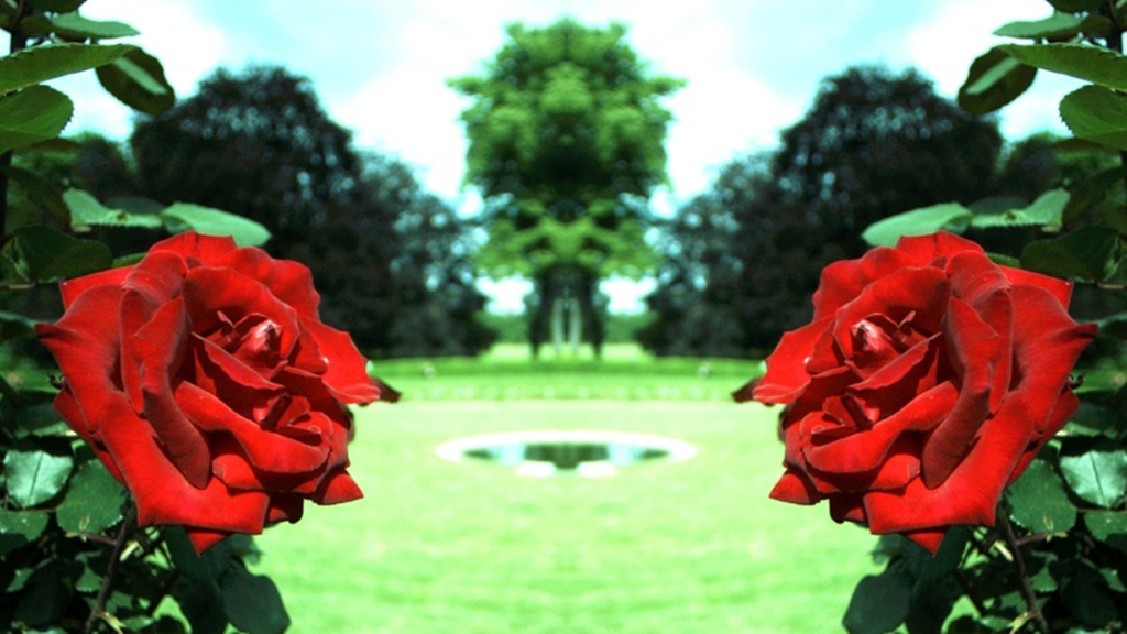 A Collision of Two Worlds
