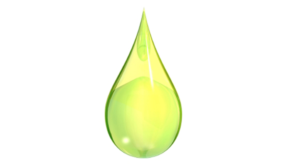 Ethanol or Biodiesel?