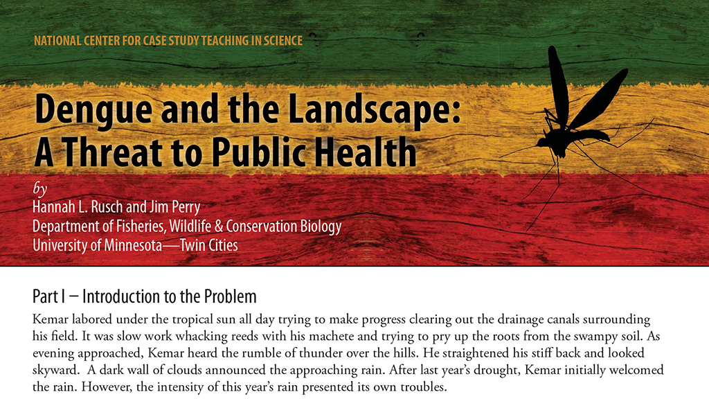 Dengue and the Landscape