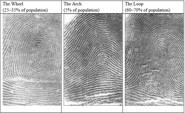 Figure 1. Fingerprint Types and Percentage of Population with Type 