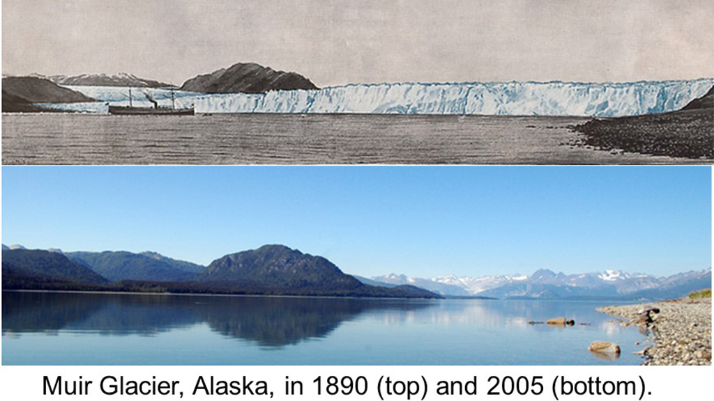 Global Climate Change: Impact and Remediation