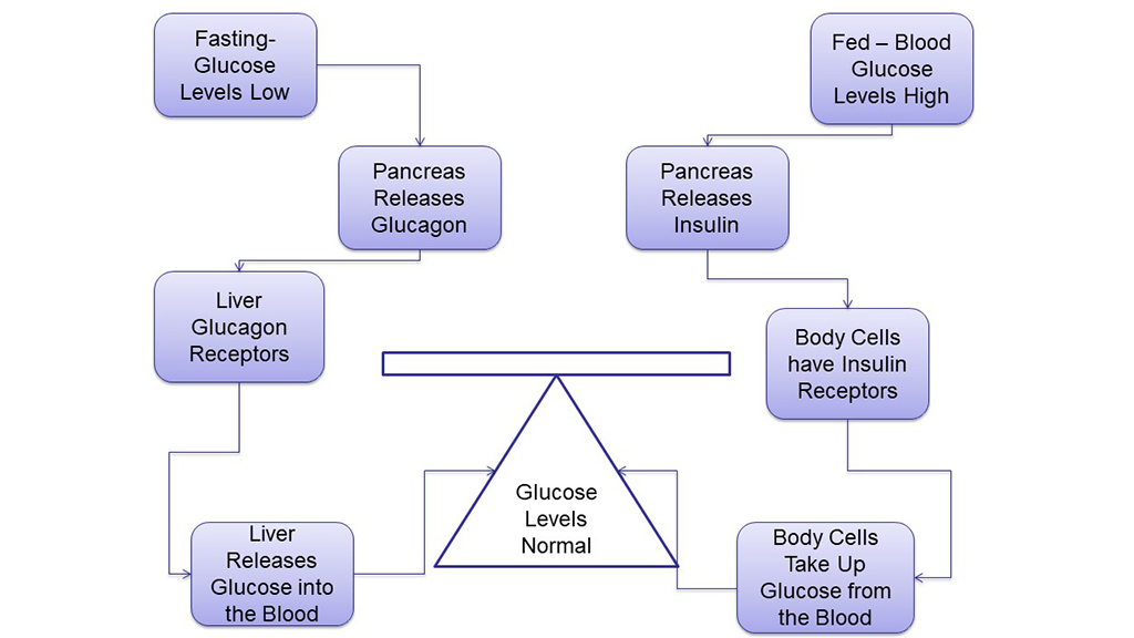 Murder or Medical Mishap?