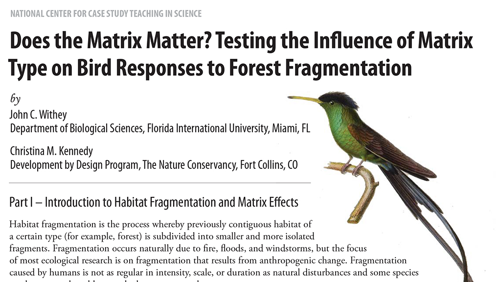 Does the Matrix Matter?