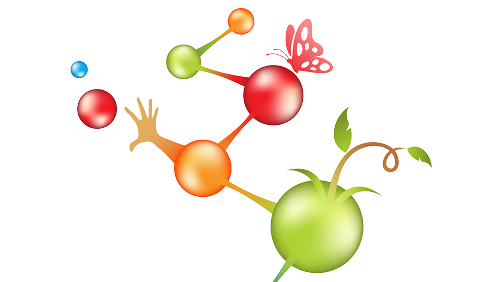 The Molecular Origin of Life: Replication or Metabolism-First?  Introductory Version