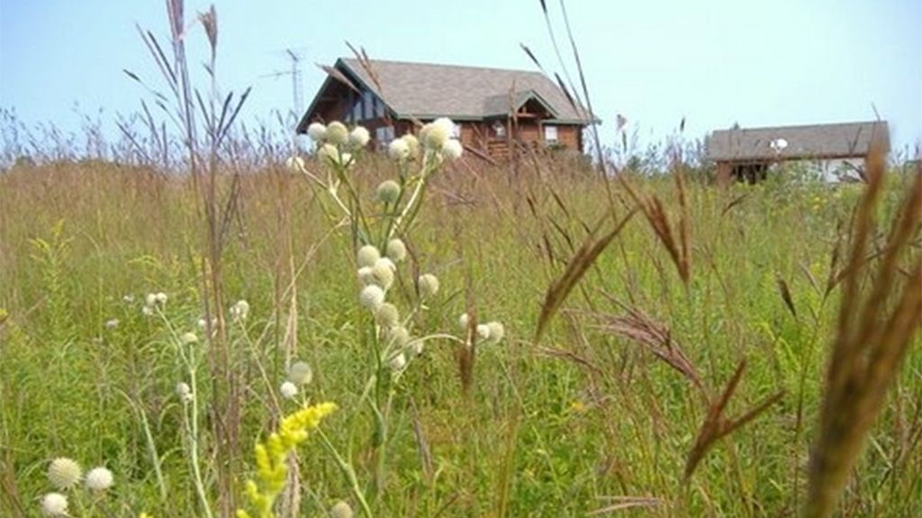 Prairie Garden of Troubles
