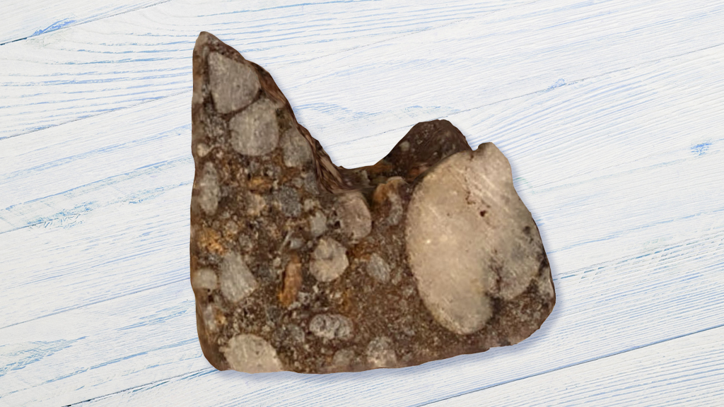 A Low-Cost, User-Friendly Technology for Making Samples and Artifacts Accessible to Online Audiences