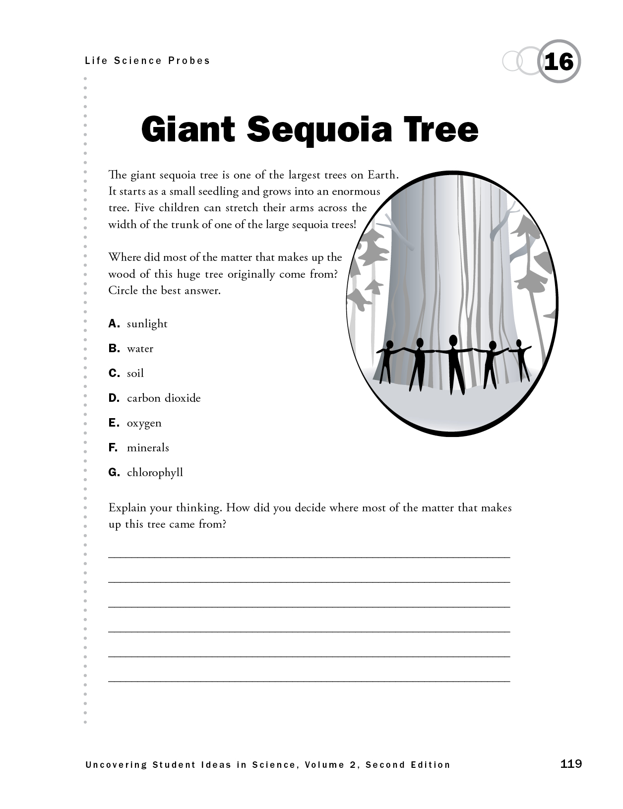 Giant Sequoia Tree