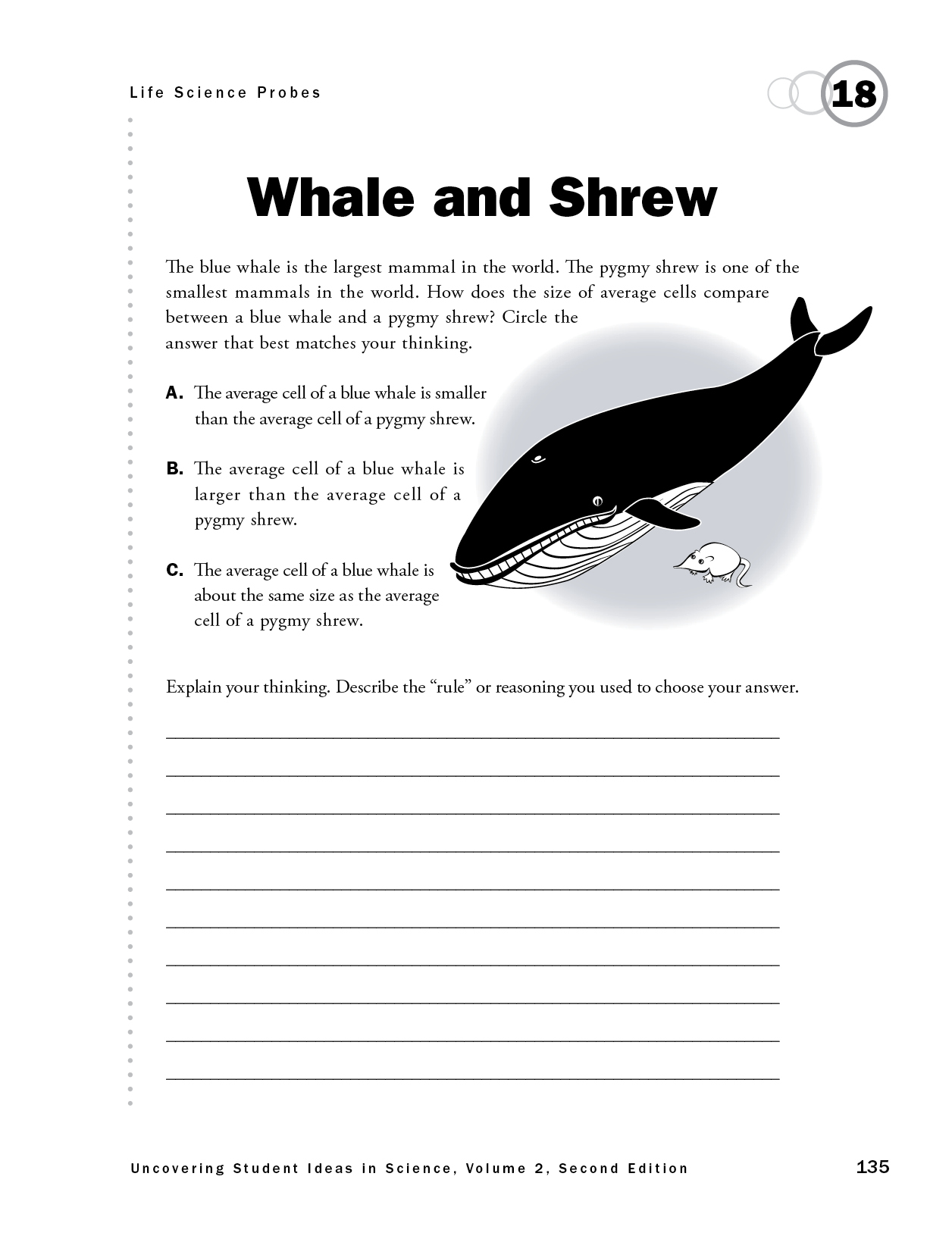 Whale and Shrew