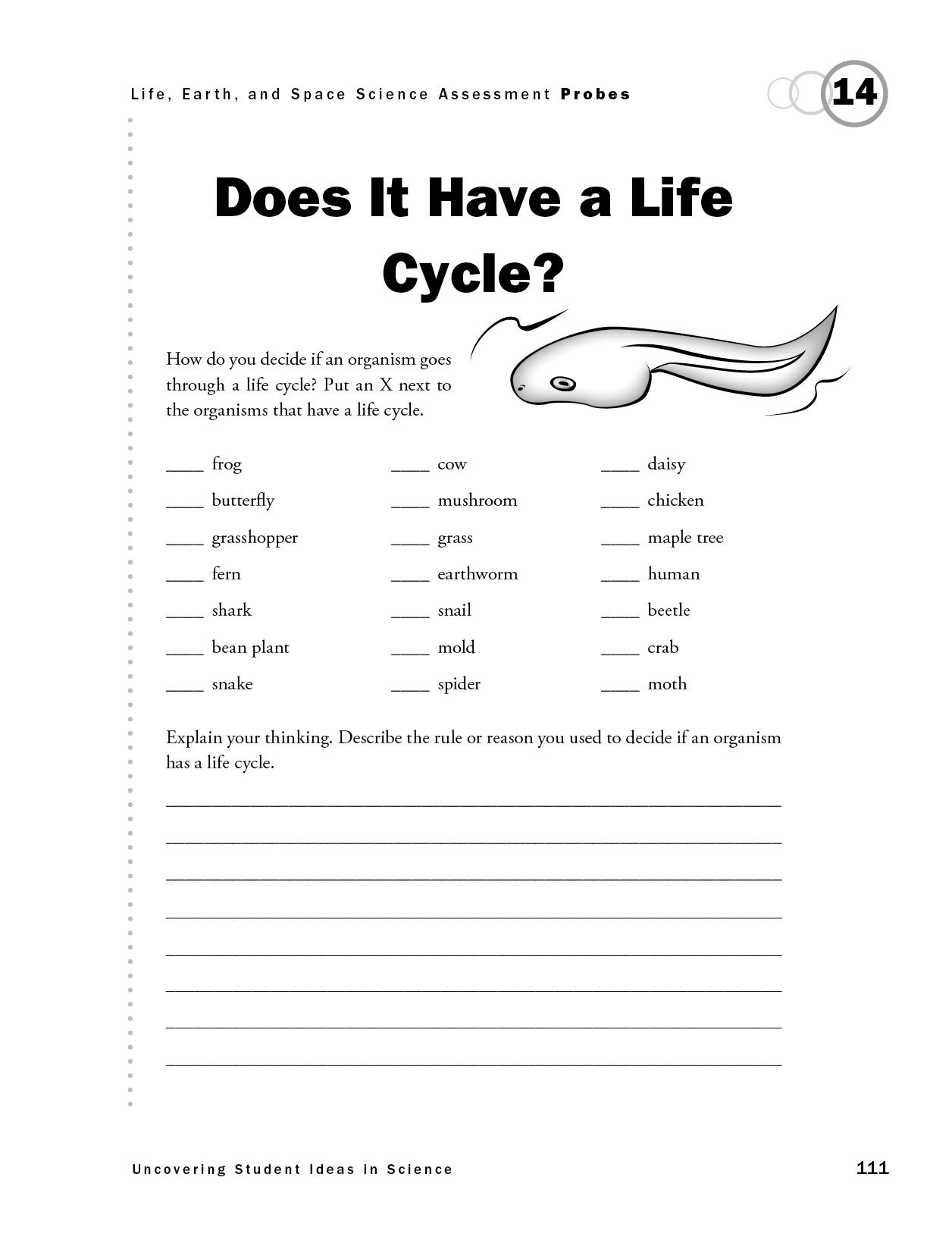Does It Have A Life Cycle NSTA