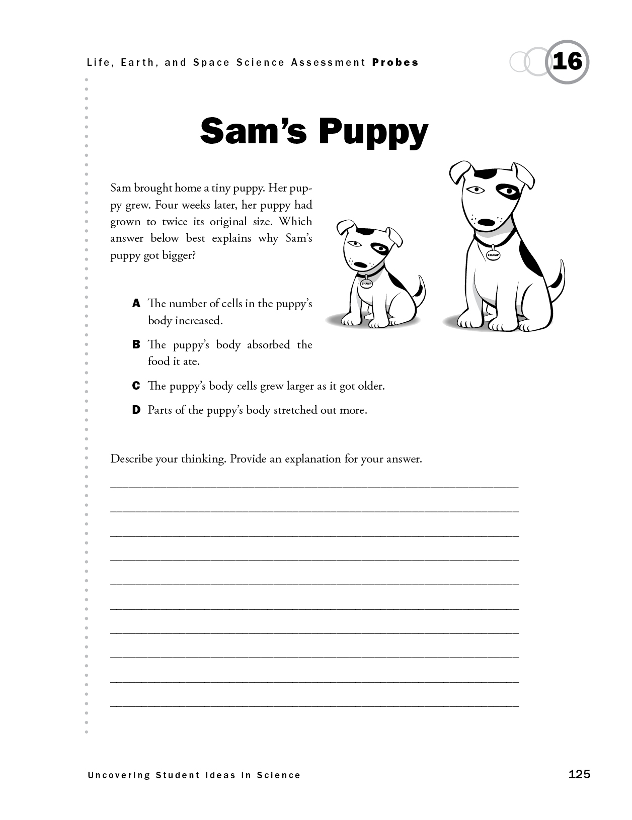 Sam's Puppy
