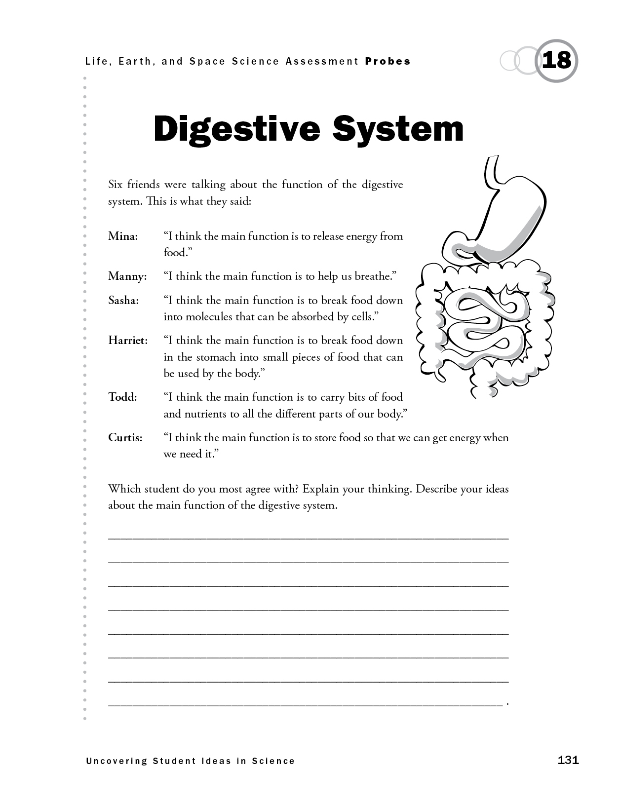 DIgestive System