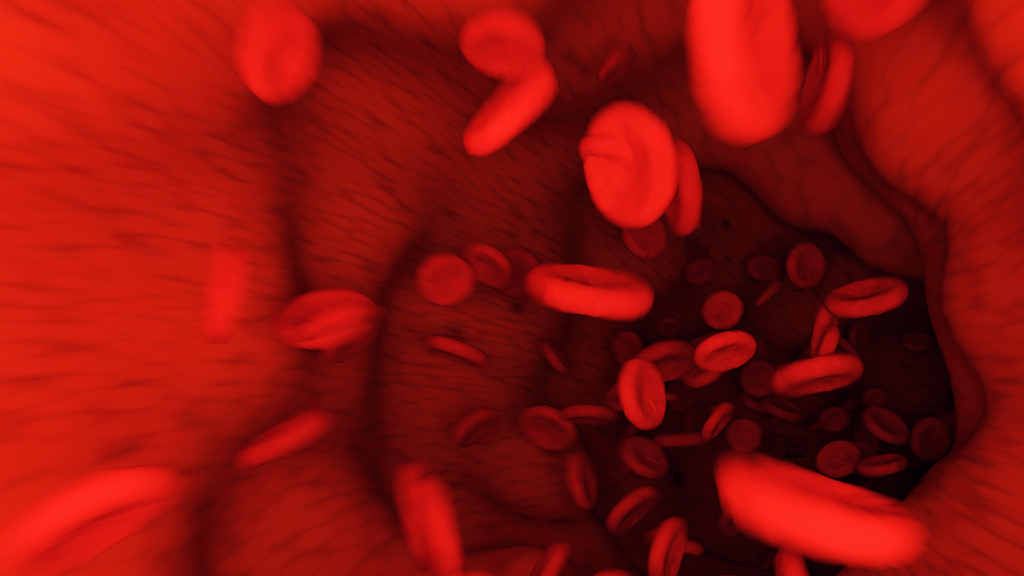 Cords, Coffee Tables, and Cadavers