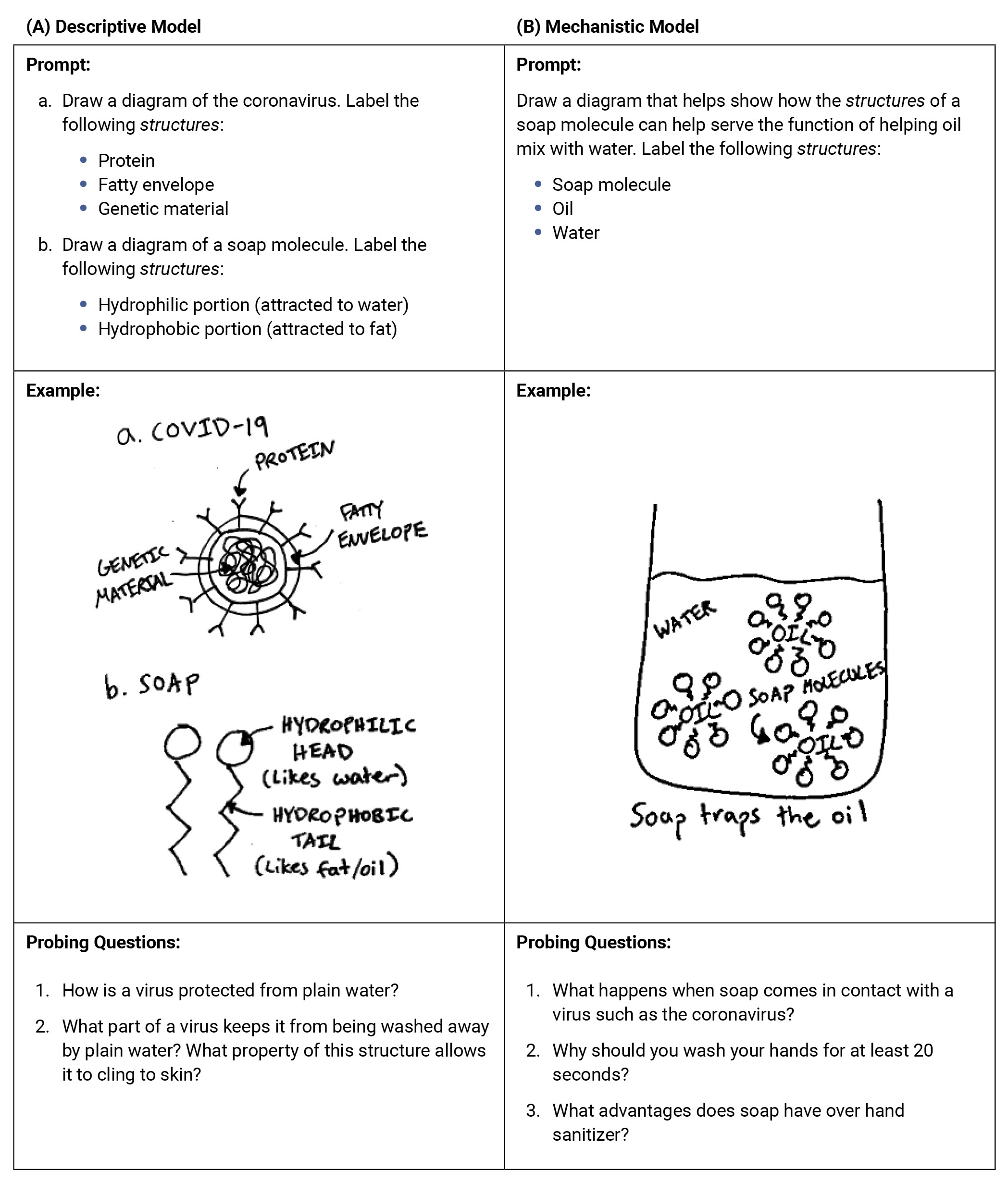 Descriptive and mechanistic models of handwashing.