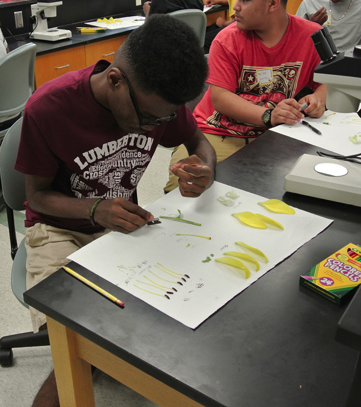 Students labeling flower parts.