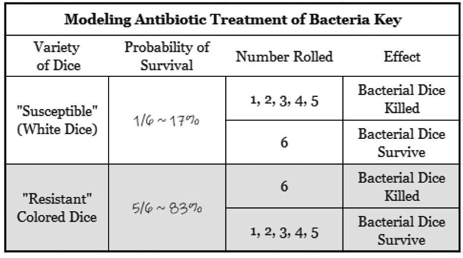 Modeling antibiotic treatment of bacteria.