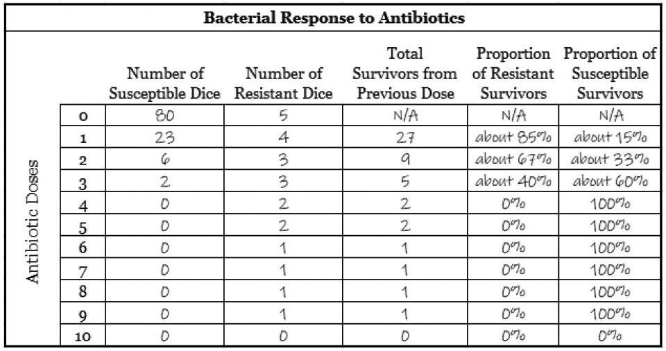 Bacterial response to antibiotics.