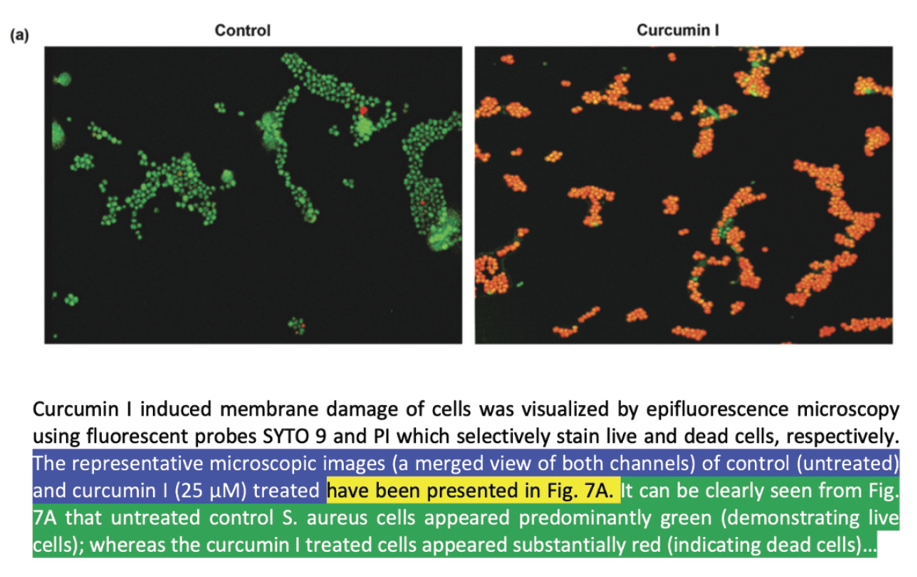 Example of figure panel presenting results from a microbiology paper.