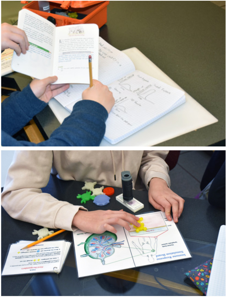 Figure 5 A student works through the immune response activity with their 3D manipulatives. Another student draws immune response graphs in their notebook and works to predict what a second exposure will look like with memory cells at play.