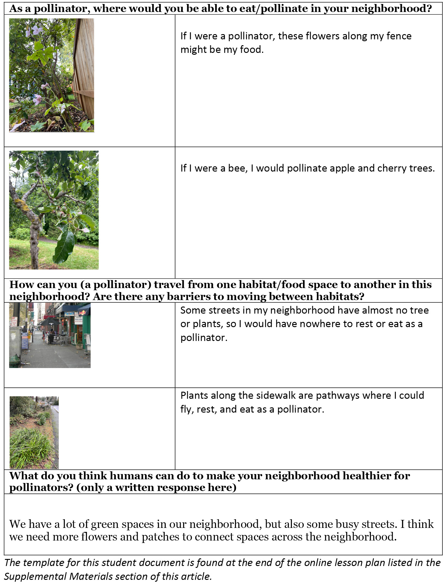 Image 1: Self Doc: What does your neighborhood look like to a pollinator?