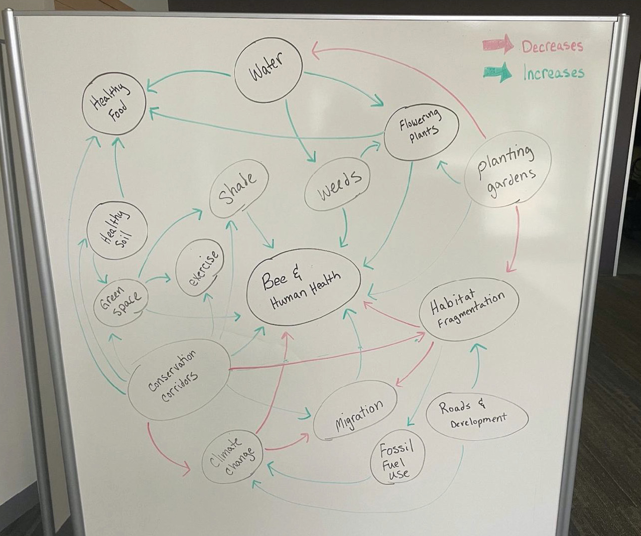 Image 3: Example of Complex Systems Model