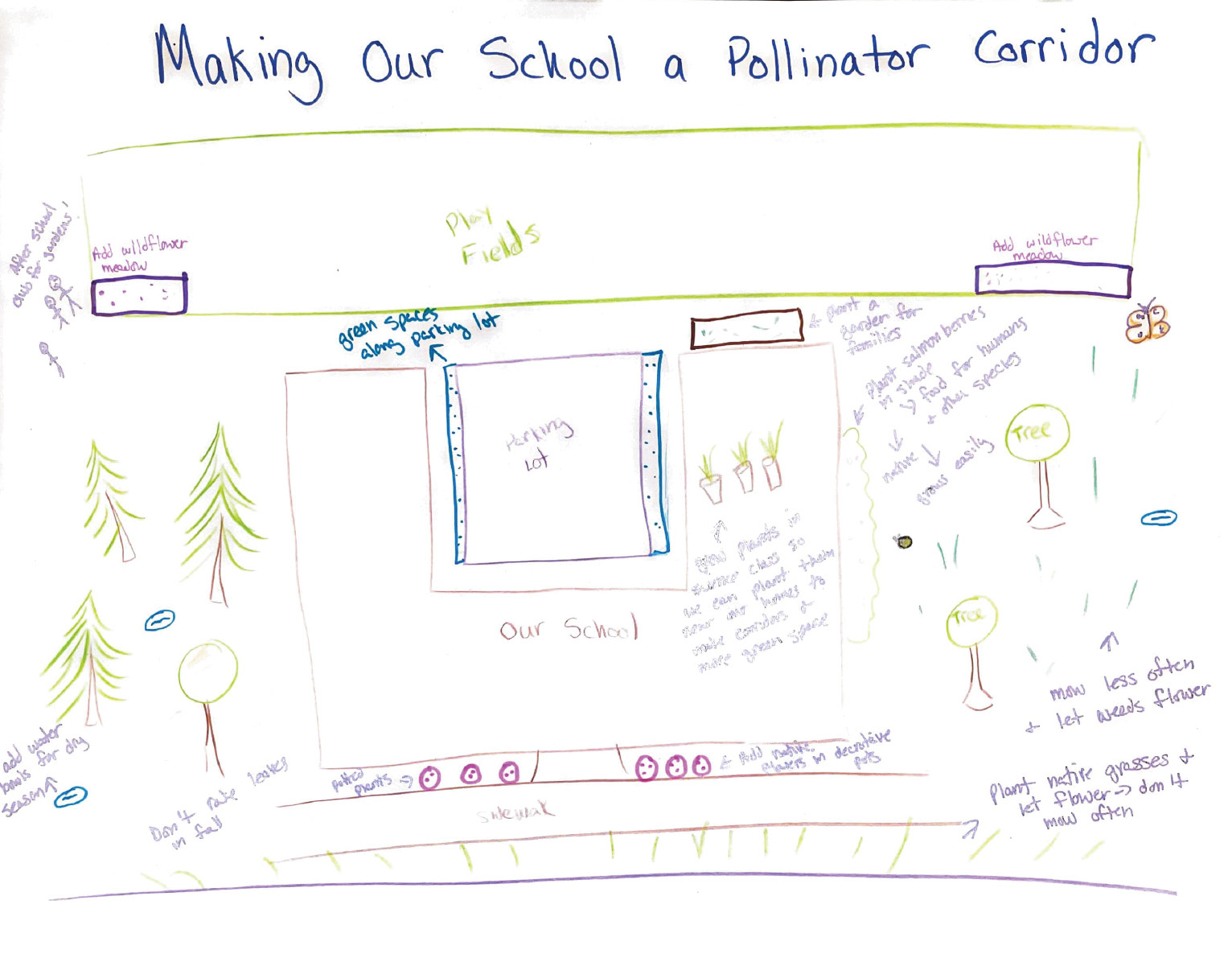 Image 4. Students collaborate to sketch solutions for supporting pollinator health in their own neighborhoods and around their school.