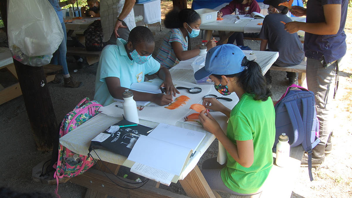 The Birds and the Bees, the Flowers and the Trees