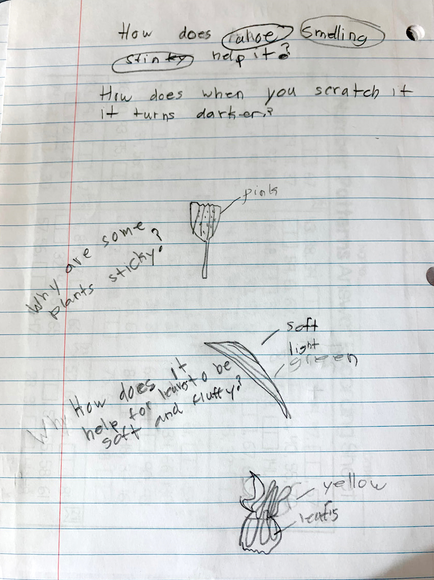 Student notebook examples.