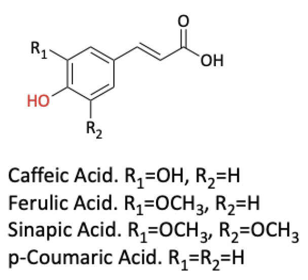 Figure 1. Structures of hydroxycinnamic acids.