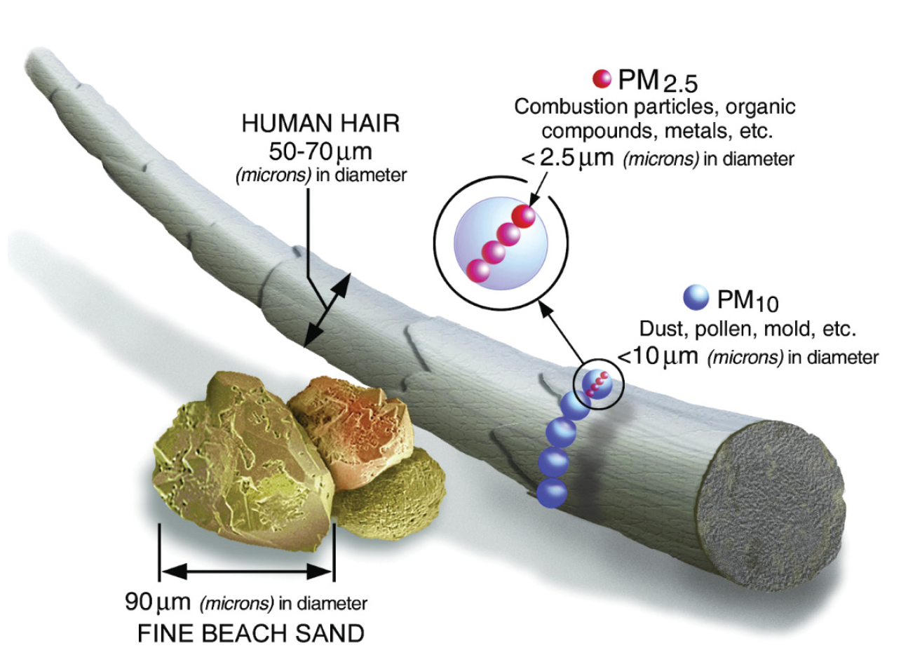 Size comparisons for particulate matter (U.S. Environmental Protection Agency, https://bit.ly/2ww7Rf7). 