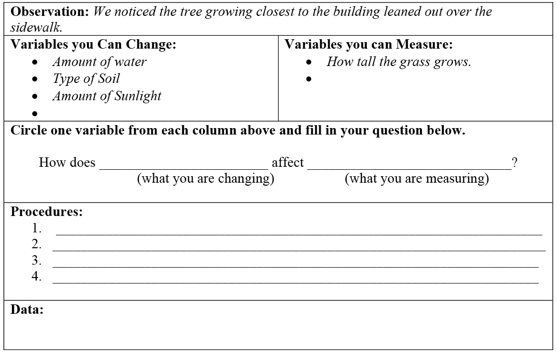 Student investigation organizer sample.