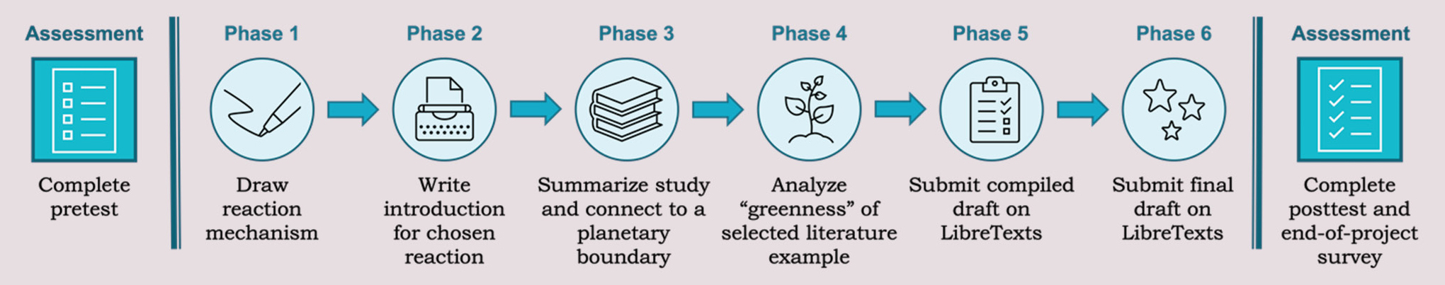 Phases of the OER project.
