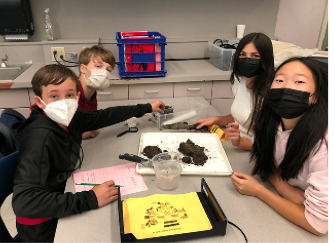 Students back in the classroom surveying invertebrate species found in soil samples from their site. After noticing a high variety of bird species at particular sites, students proposed looking at the variety of bugs at each site as a potential food source. We found that that in general the sites with the greatest variety of invertebrates in the plants and in the soil contained the greatest variety of birds.