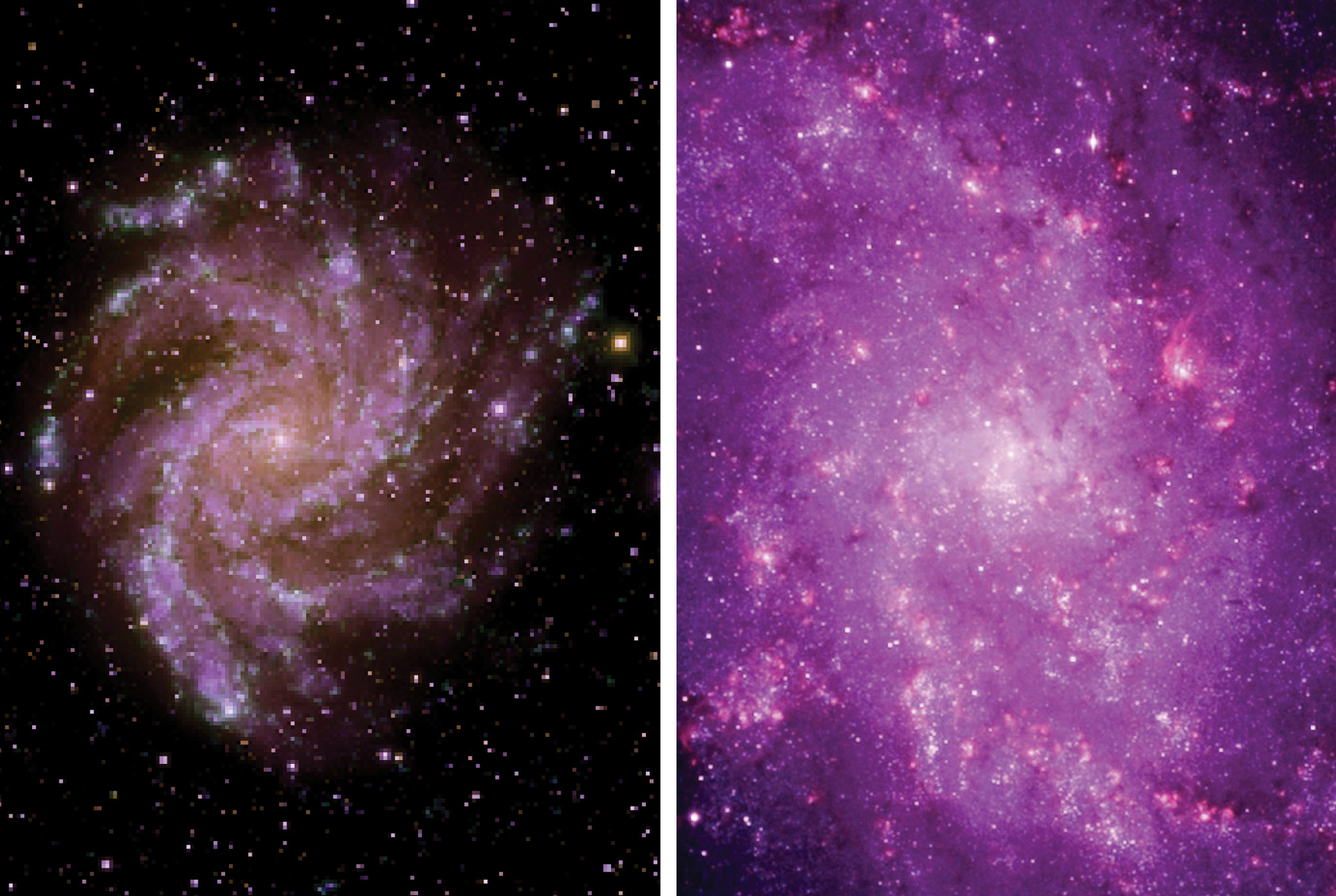 Left: A student image that correctly identifies the galaxy’s hot stars with violet colors. Right: A student image that fails to effectively identify hot stars. 