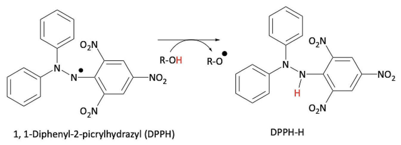 Figure 4. DPPH radical scavenging assay.