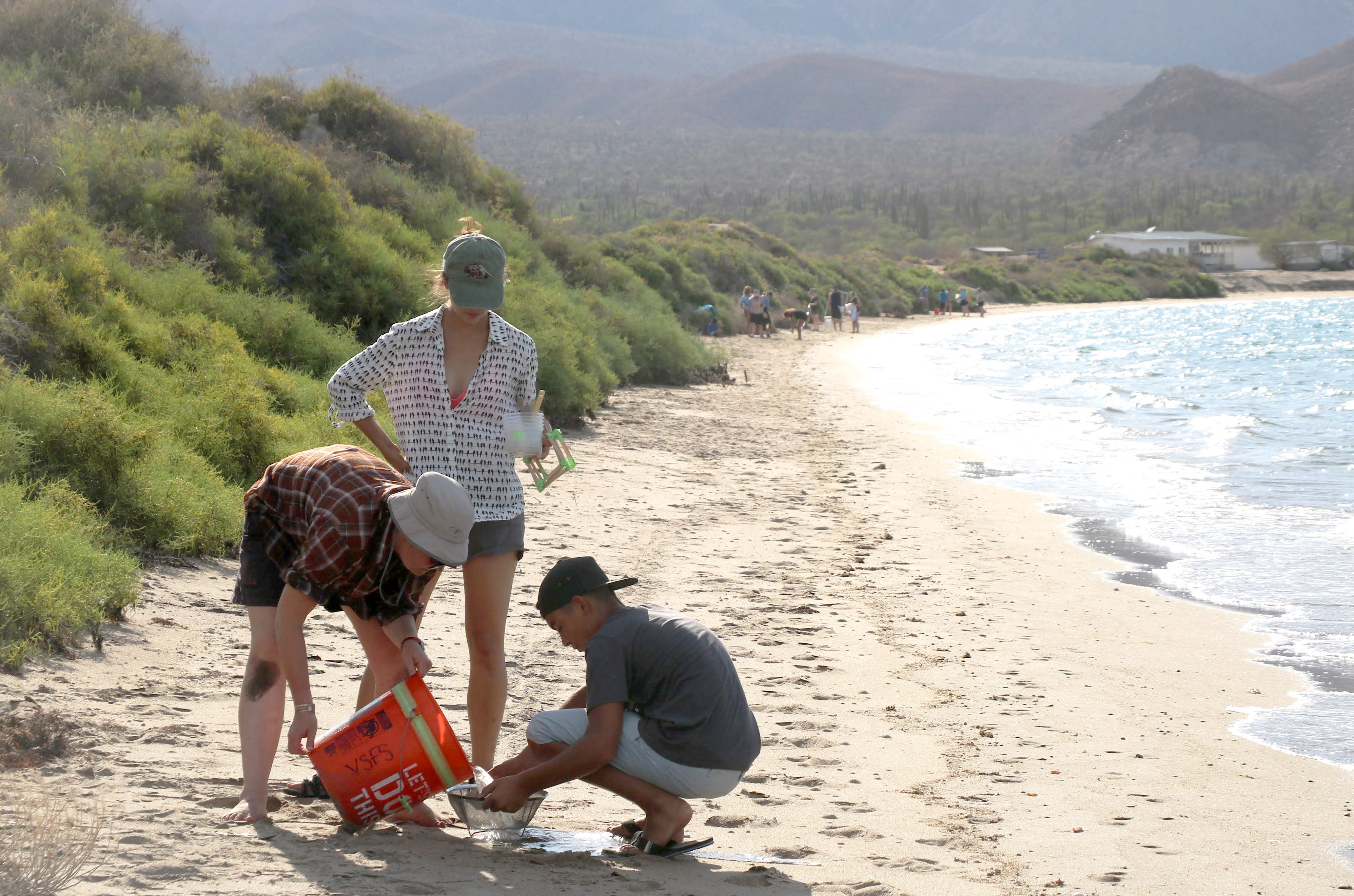 Designing, Sustaining, and Evaluating Environmental Justice Projects: The Critical Community Science Tool