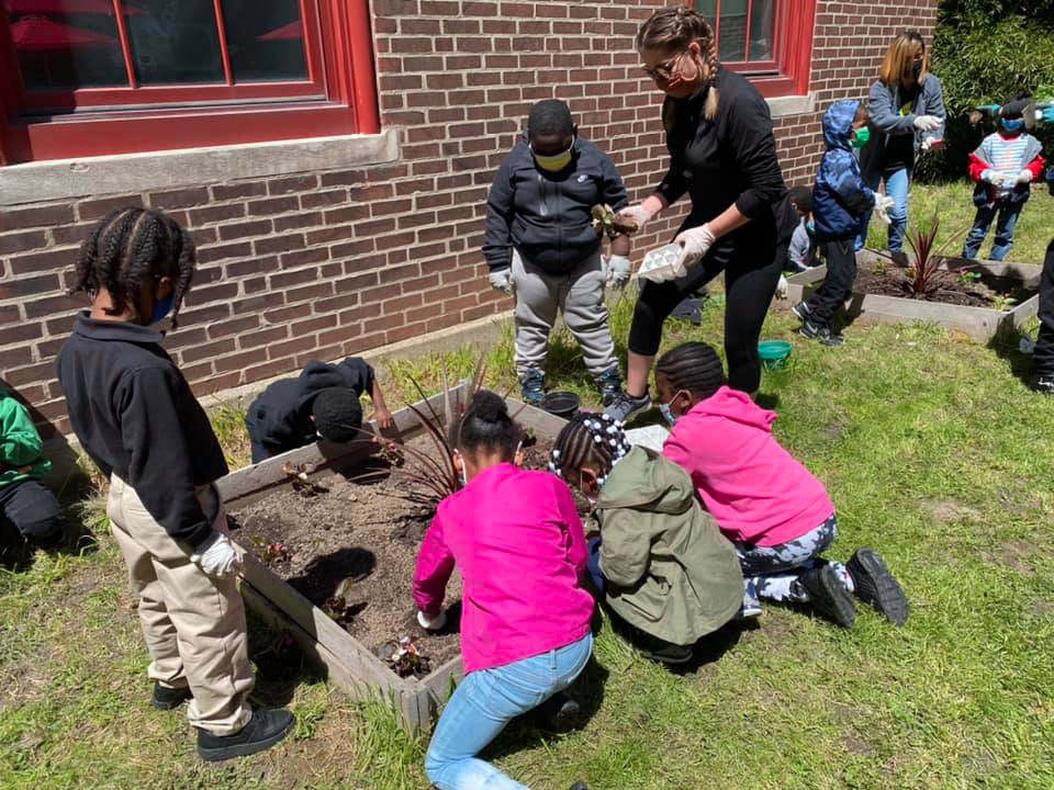 students digging in the dirt