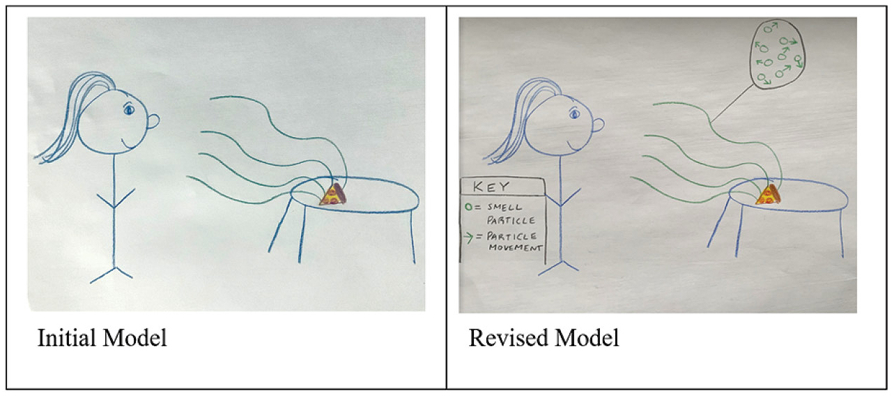 Sample teacher smell models. 