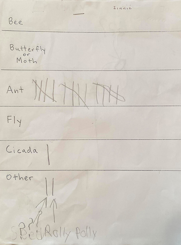 Data sheet of insect observations.