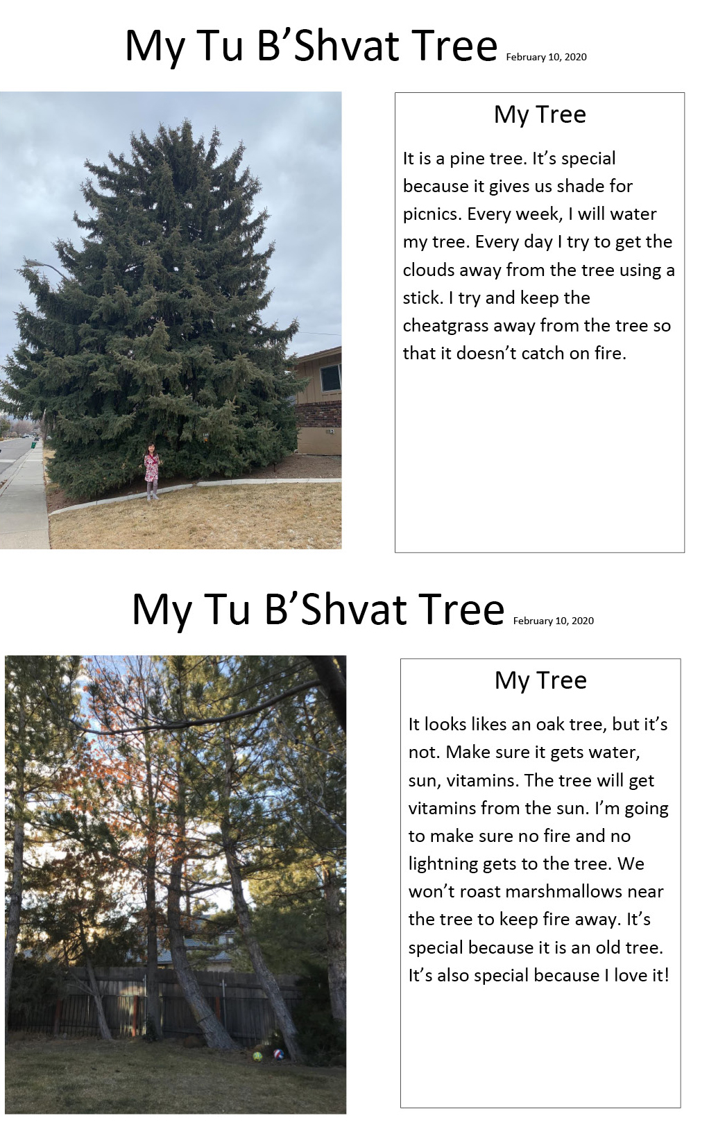 figure 5 Tu B’Shvat.