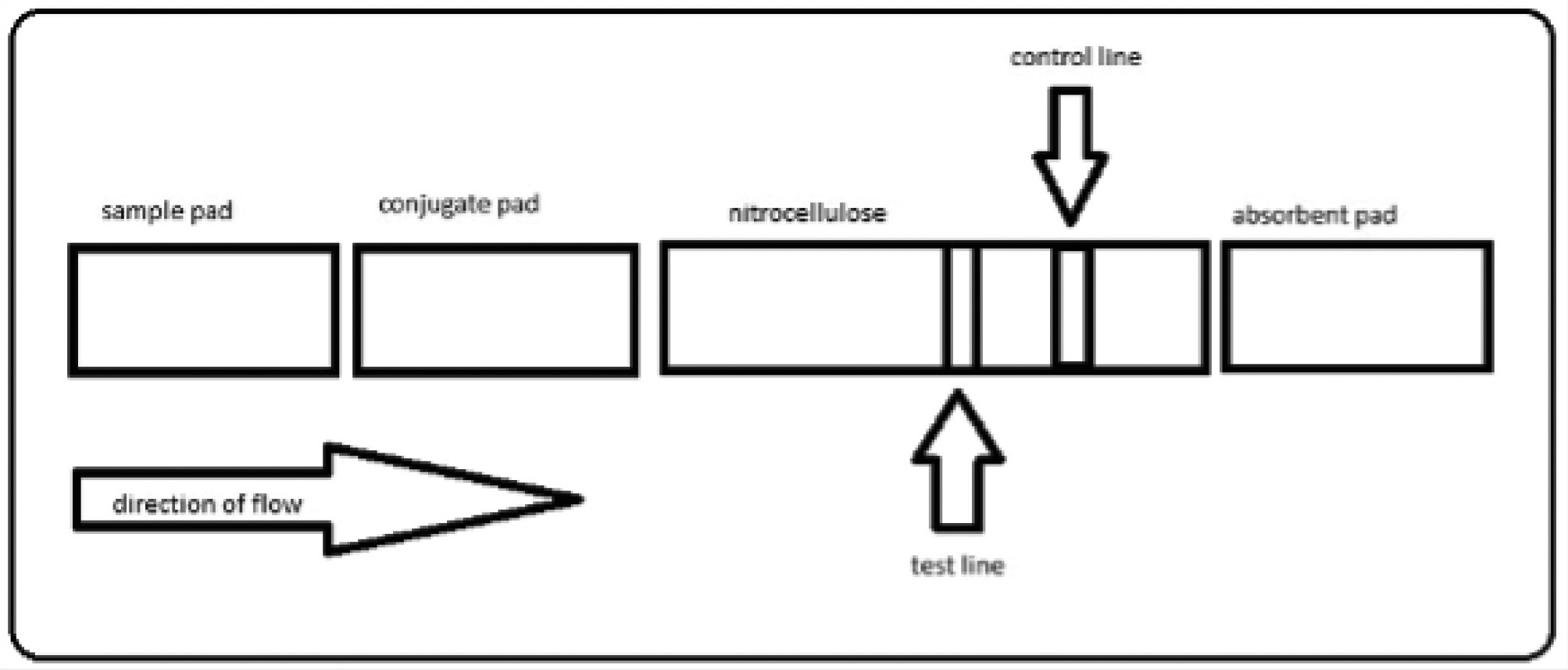 A visual representation of the components of a lateral flow device.