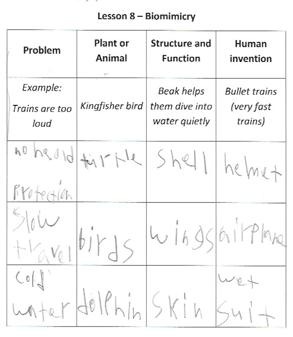 Biomimicry research graphic organizer.