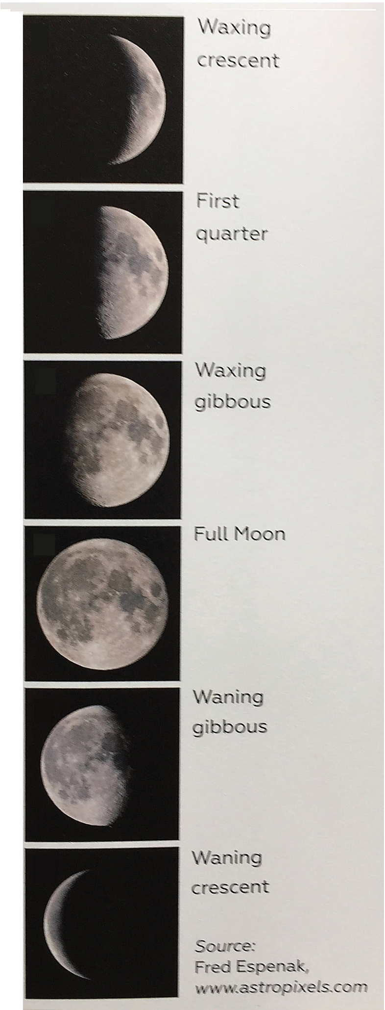 Order of lunar phases.    