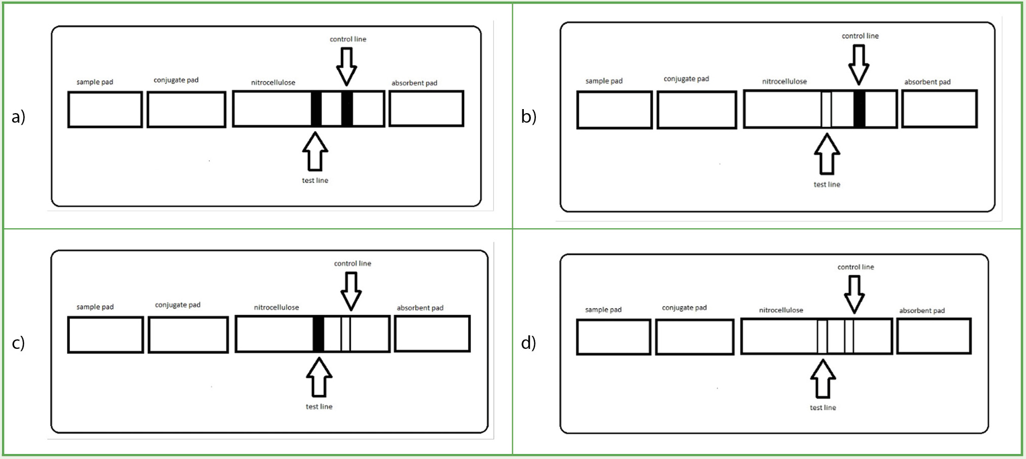 A visual representation of the various combinations possible in a lateral flow assay.
