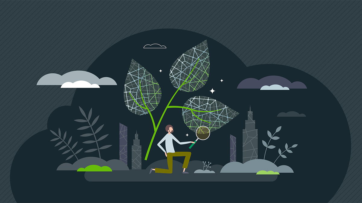 Inquiry-Based Learning on Biomimicry