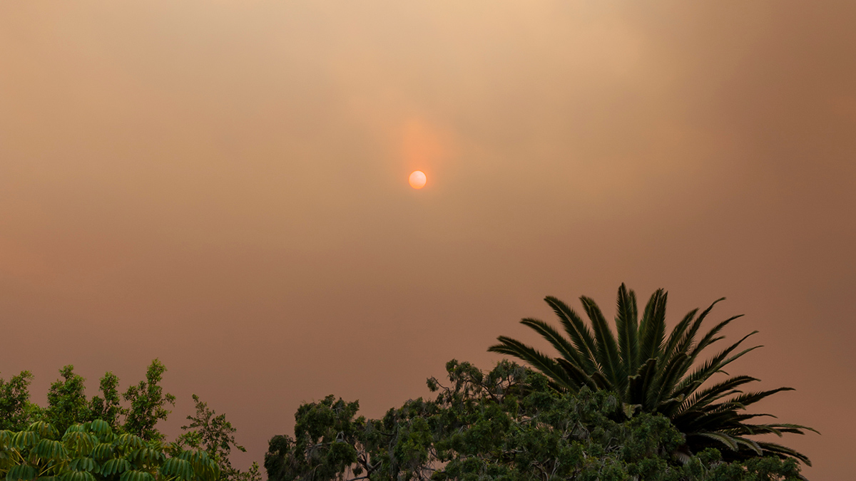 Teaching Social Justice in the Science Classroom