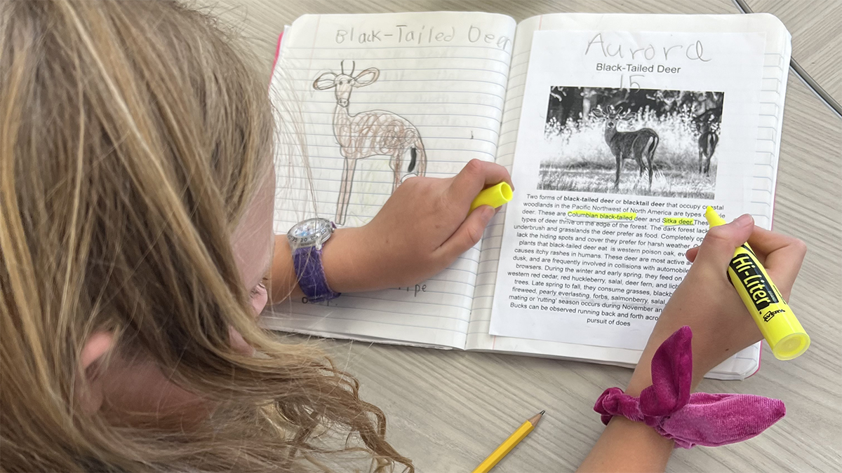 Designing Wildlife Crossings