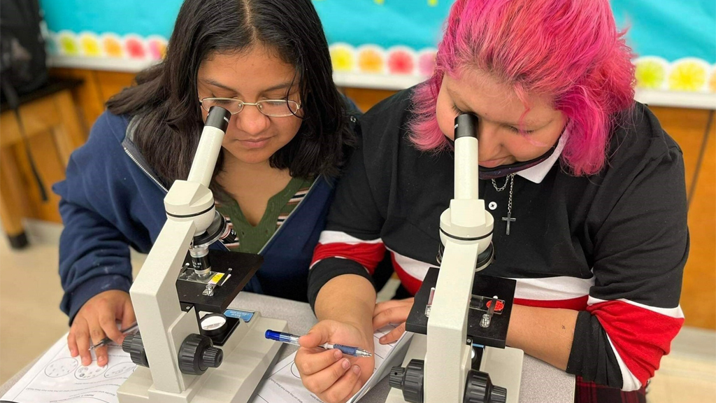 Collaboration Through Critical Service Learning—In Search of Earth’s Secrets