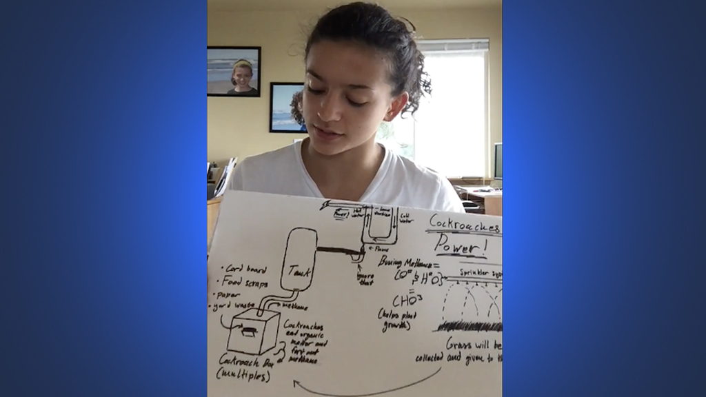 Open Innovation Challenge to Mitigate Global Warming