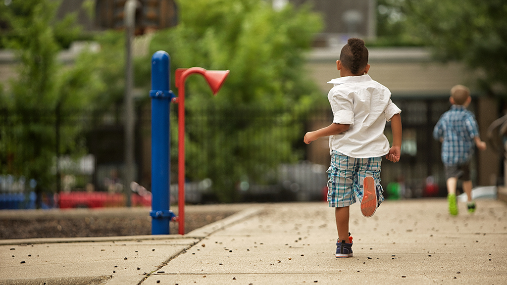 Dystrophin Stability and Cardiomyopathy