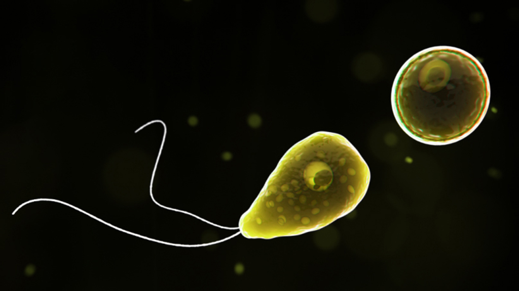 A Bioinformatic Investigation of a Mysterious Meningoencephalitis